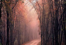 意大利劲旅展现强大实力，球迷鼓舞