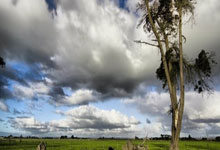 女排比赛抢眼,队员表现抢镜