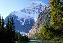 女排比赛抢眼,队员表现抢镜