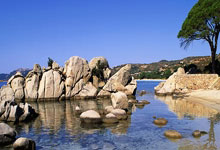 巴萨铁英勇主场抢分，埃梅里赢得胜利