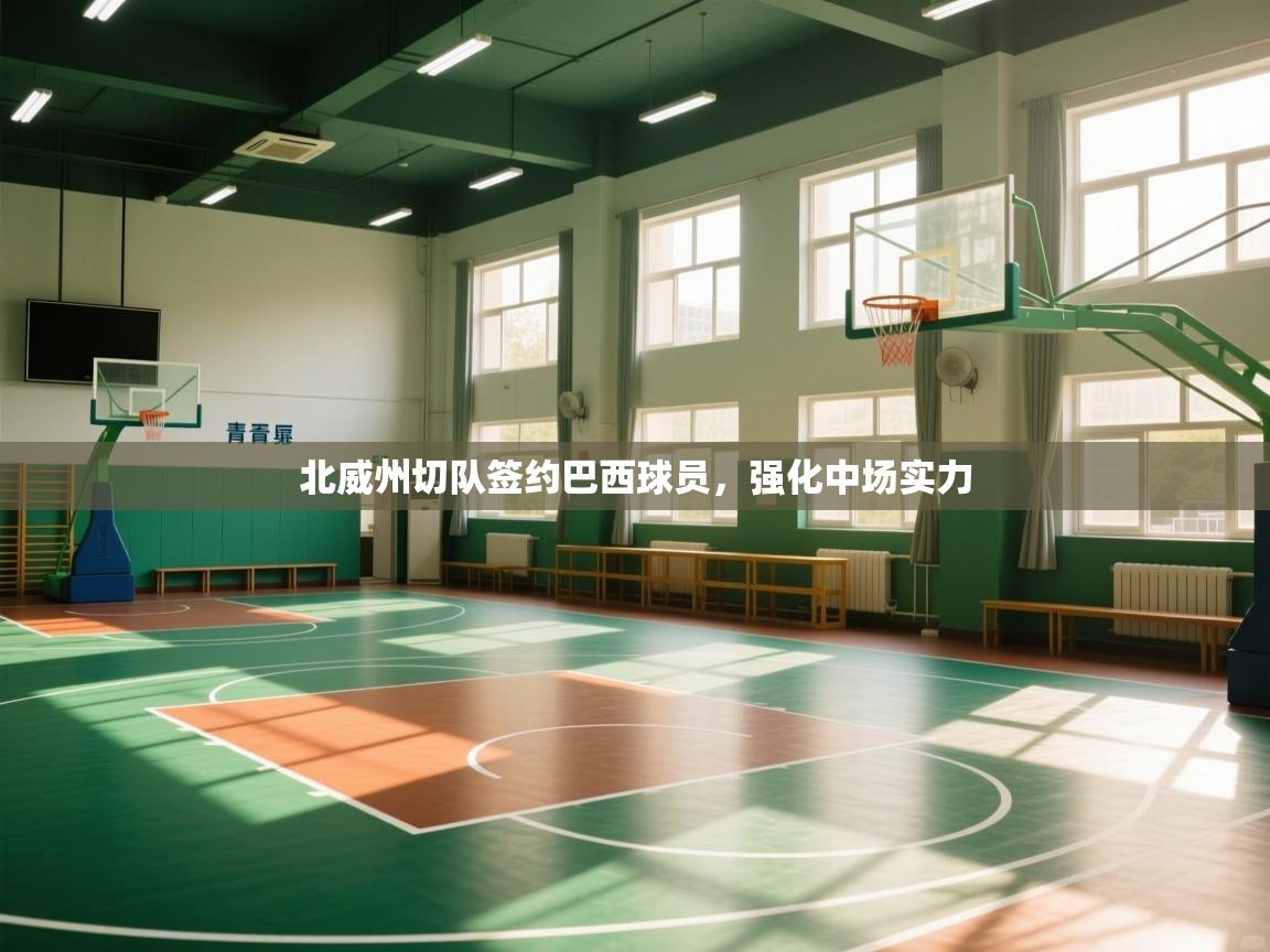 北威州切队签约巴西球员,强化中场实力