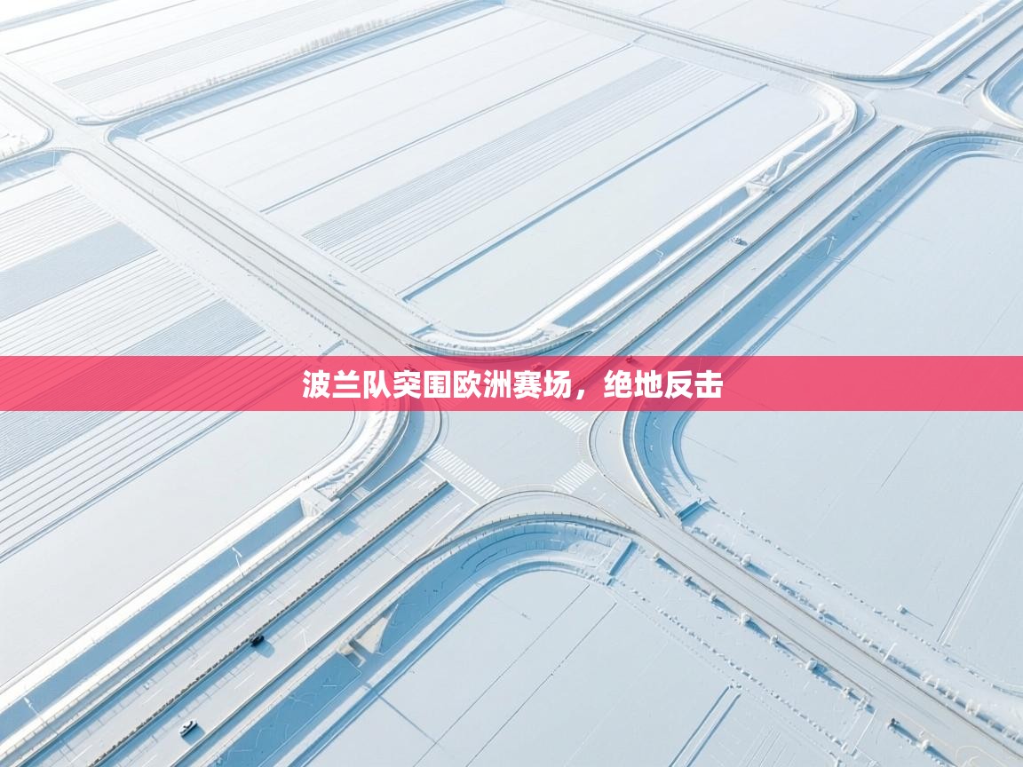 波兰队突围欧洲赛场，绝地反击  第2张