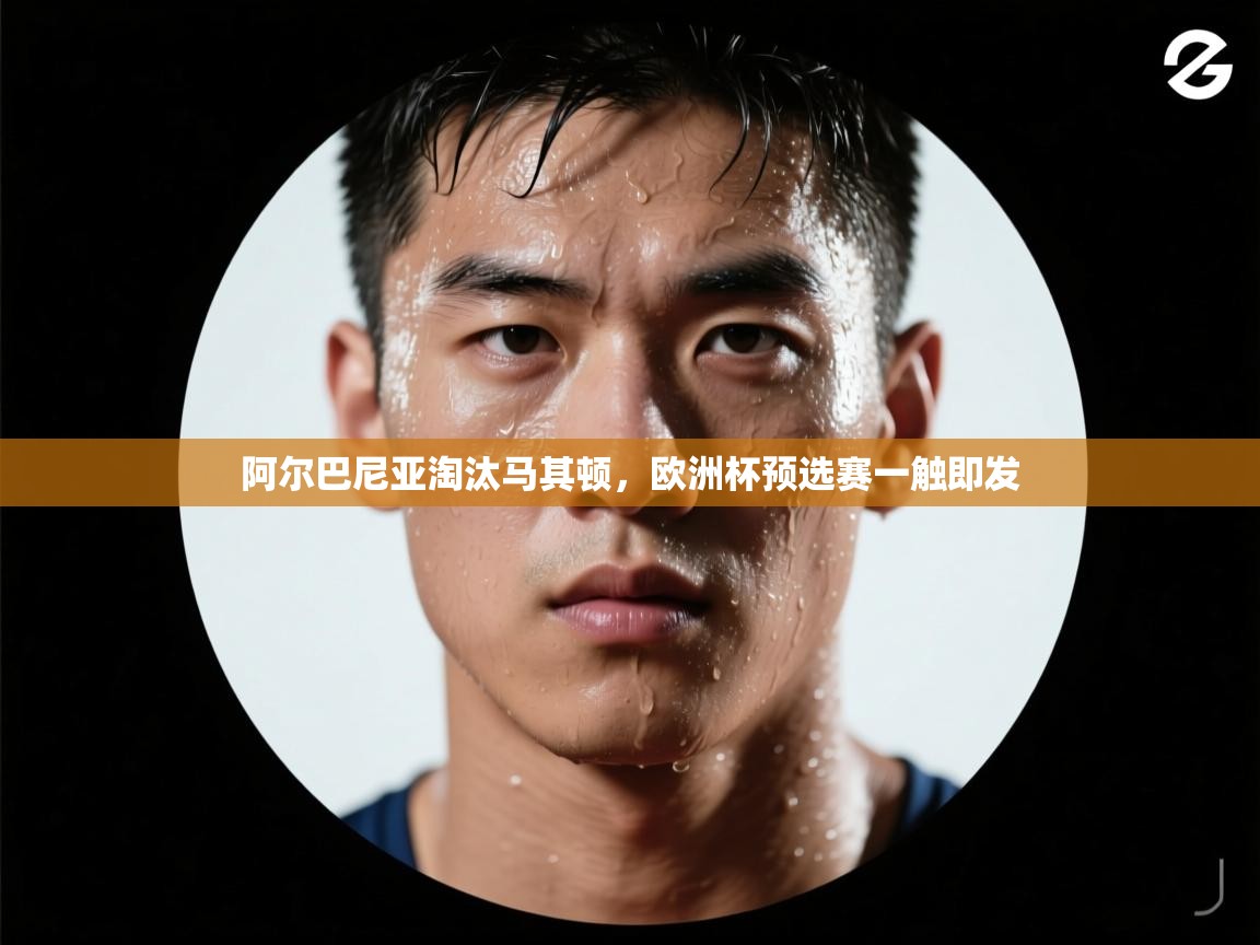 阿尔巴尼亚淘汰马其顿,欧洲杯预选赛一触即发 第2张